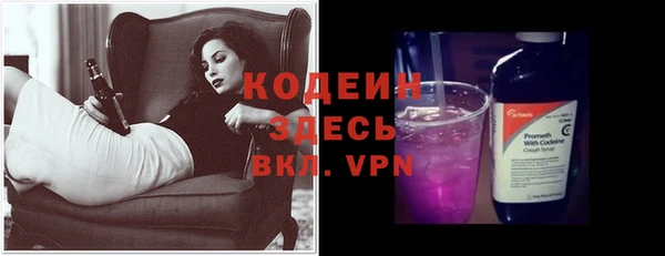 стаф Богданович