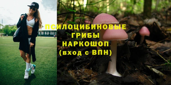 кристаллы Богородицк