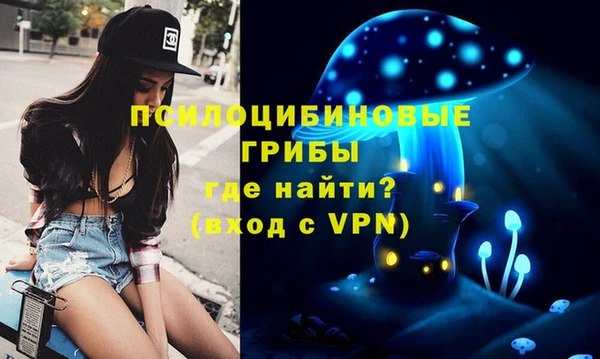 стаф Богданович