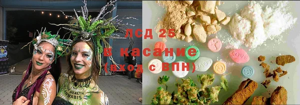 стаф Богданович