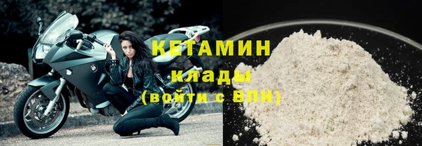 стаф Богданович