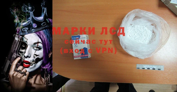 стаф Богданович