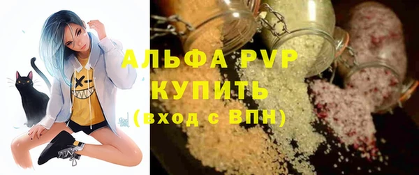 стаф Богданович