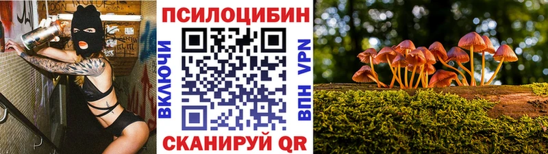 Псилоцибиновые грибы мухоморы  ОМГ ОМГ как зайти  Киреевск 